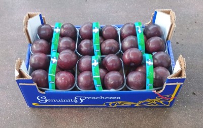 Foto Prugne Rosse Varietà Larry Ann Calibro 65+ Origine Chile Marchio Genuinita  1