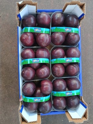 Foto Prugne Rosse Varietà Larry Ann Calibro 65+ Origine Chile Marchio Genuinita  3