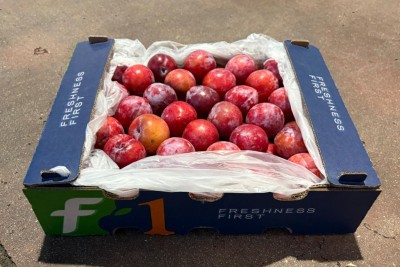 Foto Prugne Rosse Varietà Star Ruby Origine Sud Africa Marchio Freshness 1