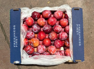 Foto Prugne Rosse Varietà Star Ruby Origine Sud Africa Marchio Freshness 3