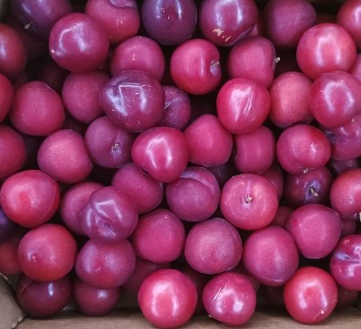 Foto Prugne Rosse Varietà Red Beauty Calibro 45+ Origine Spagna Marchio Vallblanca     2