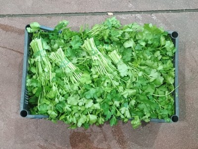 Foto Prezzemolo Origine Italia Marchio Raffaele  2