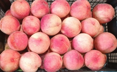 Foto Pesche Bianche Varietà Marua Bianca Origine Grecia Marchio Greek Premium 2