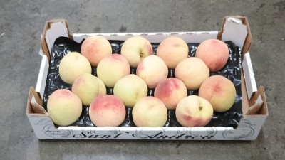 Foto Pesche Bianche Varietà Maria Bianca Calibro 16 Origine Italia Marchio Sant'Andrea  1