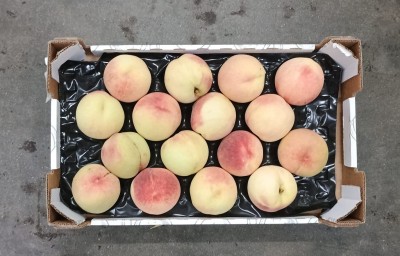 Foto Pesche Bianche Varietà Maria Bianca Calibro 16 Origine Italia Marchio Sant'Andrea  3