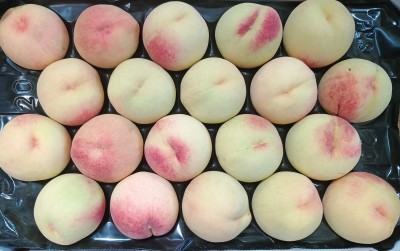 Foto Pesche Bianche Varietà Maria Bianca Calibro 20 Origine Italia Marchio Sant'Andrea  2