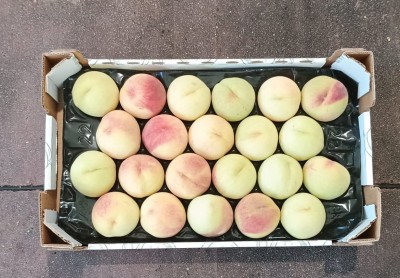 Foto Pesche Bianche Varietà Maria Bianca Calibro 22 Origine Italia Marchio Sant'Andrea  3