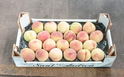 Foto Pesche Bianche Varietà Rosa Del West Calibro 22 Origine Italia Marchio Sant'Andrea       1