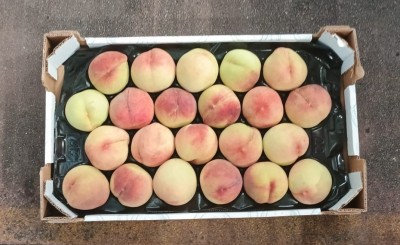 Foto Pesche Bianche Varietà Rosa Del West Calibro 22 Origine Italia Marchio Sant'Andrea       3