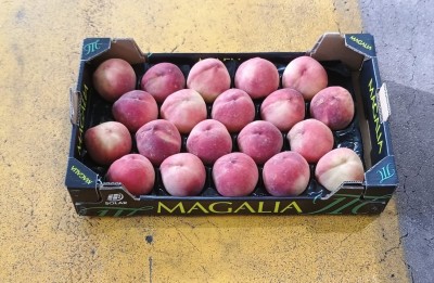 Foto Pesche Bianche Calibro A20 Origine Spagna Marchio Magalia  1