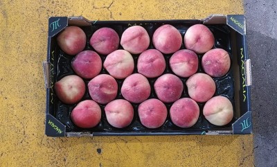 Foto Pesche Bianche Calibro A20 Origine Spagna Marchio Magalia  3