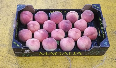 Foto Pesche Bianche Calibro 18 Origine Spagna Marchio Magalia  1