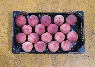 Foto Pesche Bianche Calibro 18 Origine Spagna Marchio Magalia  3