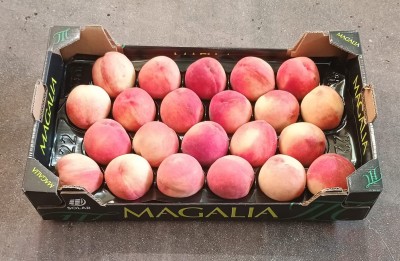 Foto Pesche Bianche Calibro A22 Origine Spagna Marchio Magalia  1
