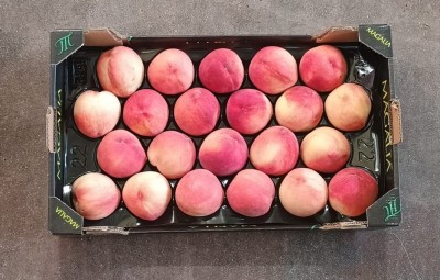 Foto Pesche Bianche Calibro A22 Origine Spagna Marchio Magalia  3