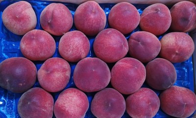 Foto Pesche Bianche Calibro 20 Origine Italia Marchio Arco Pinto  2