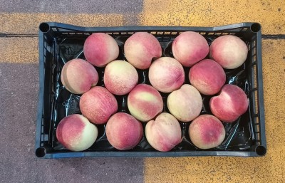 Foto Pesche Bianche Calibro 16 Origine Italia Marchio Pirozzi  3