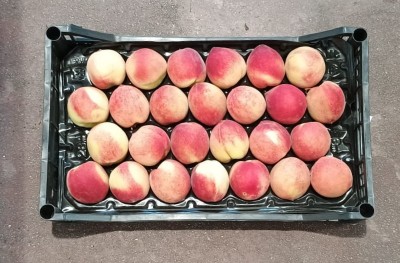 Foto Pesche Bianche Calibro 26 Origine Italia Marchio Pirozzi  3