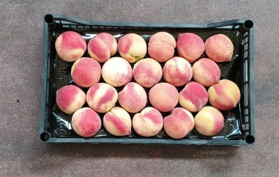 Foto Pesche Bianche Calibro 22 Origine Italia Marchio Pirozzi  3