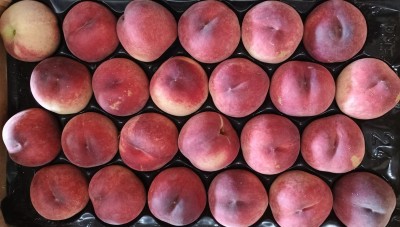 Foto Pesche Bianche Varietà Amandina Calibro A24 Origine Spagna Marchio Paco El confitero  2