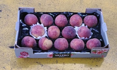 Foto Pesche Varietà Astoria Calibro 14 Origine Spagna Marchio Valero  1