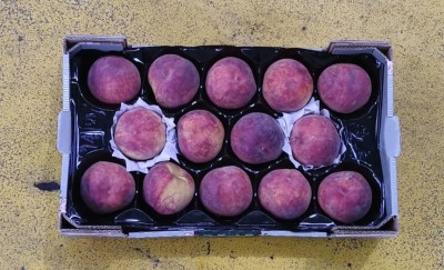 Foto Pesche Varietà Astoria Calibro 14 Origine Spagna Marchio Valero  3