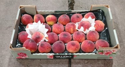 Foto Pesche Rosse Varietà Astoria Calibro A24 Origine Spagna Marchio Valero  1