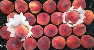 Foto Pesche Rosse Varietà Astoria Calibro A24 Origine Spagna Marchio Valero  2