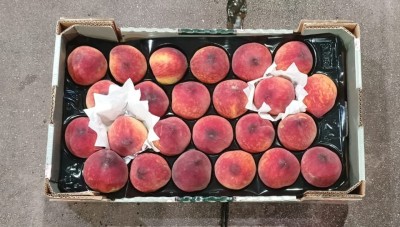 Foto Pesche Rosse Varietà Astoria Calibro A24 Origine Spagna Marchio Valero  3