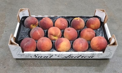 Foto Pesche Rosse Varietà Royal Summer Calibro 14 Origine Italia Marchio Sant'Andrea  1