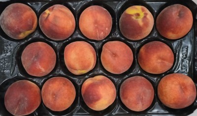 Foto Pesche Rosse Varietà Royal Summer Calibro 14 Origine Italia Marchio Sant'Andrea  2