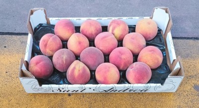 Foto Pesche Rosse Varietà O' Henry Calibro 16 Origine Italia Marchio Sant'Andrea 1