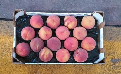 Foto Pesche Rosse Varietà O' Henry Calibro 16 Origine Italia Marchio Sant'Andrea 3
