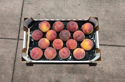 Foto Pesche Rosse Varietà Pampana Calibro 16 Origine Italia Marchio Sant'Andrea 3