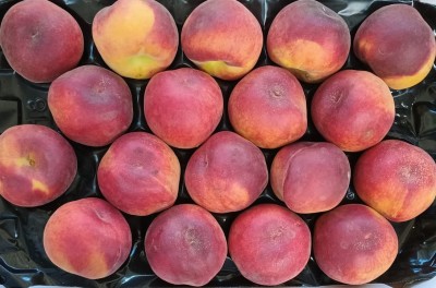 Foto Pesche Rosse Varietà Pampana Calibro 18 Origine Italia Marchio Sant'Andrea  2