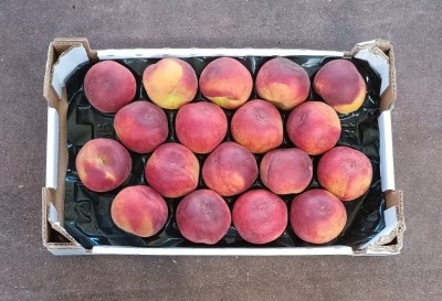 Foto Pesche Rosse Varietà Pampana Calibro 18 Origine Italia Marchio Sant'Andrea  3