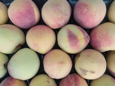 Foto Pesche Varietà O'Henry Calibro 20 Origine Italia Marchio Sant'Andrea      2