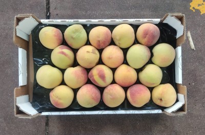 Foto Pesche Varietà O'Henry Calibro 20 Origine Italia Marchio Sant'Andrea      3