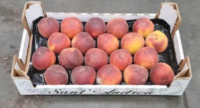 Foto Pesche Rosse Varietà Pampana Calibro 20 Origine Italia Marchio Sant'Andrea  1