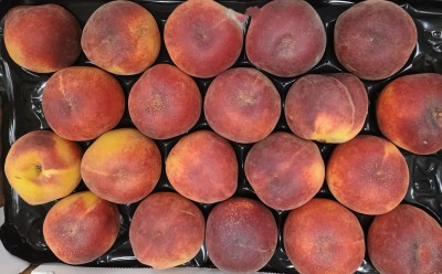 Foto Pesche Rosse Varietà Pampana Calibro 20 Origine Italia Marchio Sant'Andrea  2