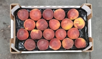 Foto Pesche Rosse Varietà Pampana Calibro 20 Origine Italia Marchio Sant'Andrea  3
