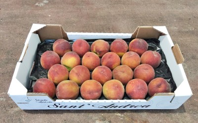 Foto Pesche Varietà Royal Summer Calibro 22 Origine Italia Marchio Sant'Andrea  1