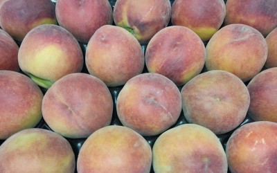 Foto Pesche Varietà Royal Summer Calibro 22 Origine Italia Marchio Sant'Andrea  2