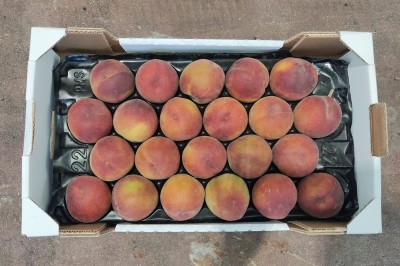 Foto Pesche Varietà Royal Summer Calibro 22 Origine Italia Marchio Sant'Andrea  3