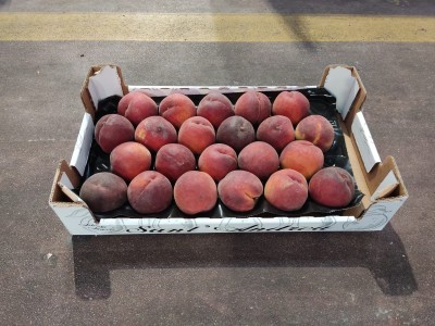Foto Pesche Rosse Varietà Pampana Calibro 22 Origine Italia Marchio Sant'Andrea    1