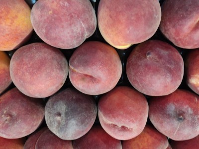 Foto Pesche Rosse Varietà Pampana Calibro 22 Origine Italia Marchio Sant'Andrea    2