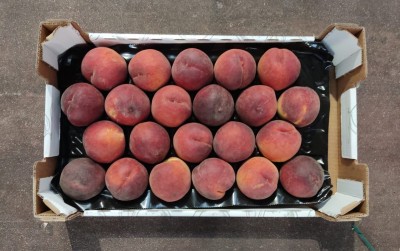 Foto Pesche Rosse Varietà Pampana Calibro 22 Origine Italia Marchio Sant'Andrea    3
