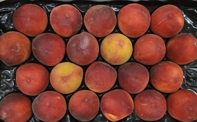 Foto Pesche Rosse Varietà Royal Summer Calibro 22 Origine Italia Marchio Sant'Andrea 2