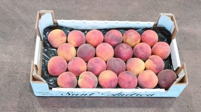 Foto Pesche Rosse Varietà Pampana Calibro 24 Origine Italia Marchio Sant'Andrea  1