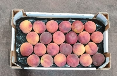 Foto Pesche Rosse Varietà Pampana Calibro 24 Origine Italia Marchio Sant'Andrea  3